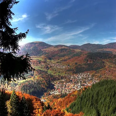 Akzent Kirchbuhl فندق 3*