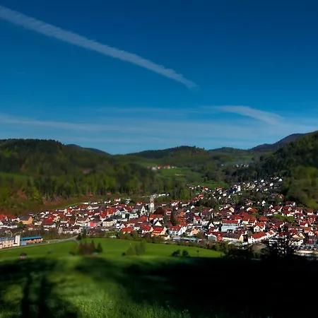 Akzent Kirchbuhl فندق 3*