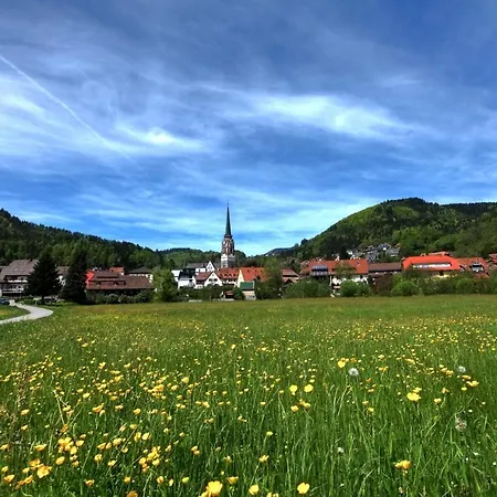 Akzent Kirchbuhl فندق